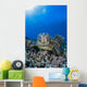 Green Sea Turtle Wall Decal