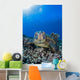 Green Sea Turtle Wall Decal