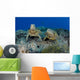 Several Green Sea Turtles Wall Decal Design 1