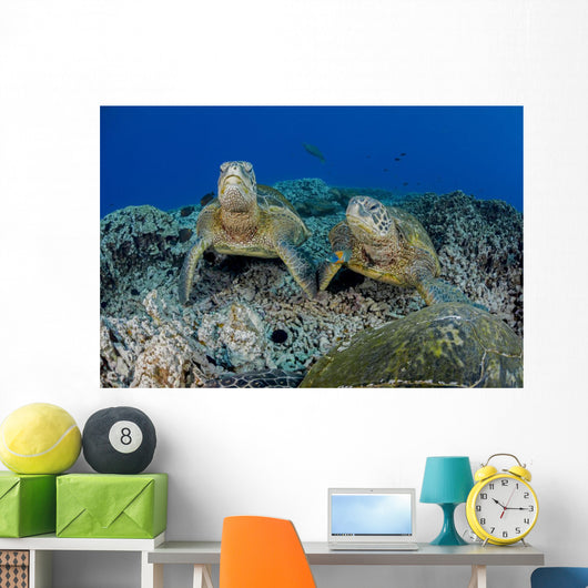 Several Green Sea Turtles Wall Decal Design 1