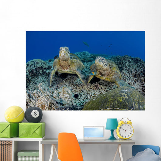 Several Green Sea Turtles Wall Decal Design 1