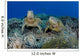 Several Green Sea Turtles Wall Decal Design 1