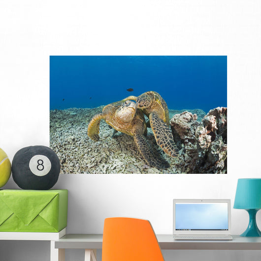 Green Sea Turtles Wall Decal Design 2