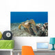 Green Sea Turtles Wall Decal Design 2