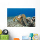 Green Sea Turtles Wall Decal Design 2