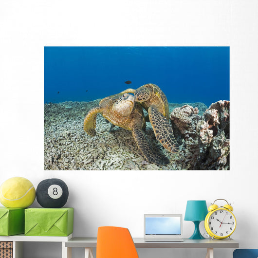 Green Sea Turtles Wall Decal Design 2