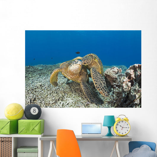 Green Sea Turtles Wall Decal Design 2
