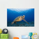 This Green Sea Turtle Wall Decal Design 2