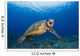 This Green Sea Turtle Wall Decal Design 2