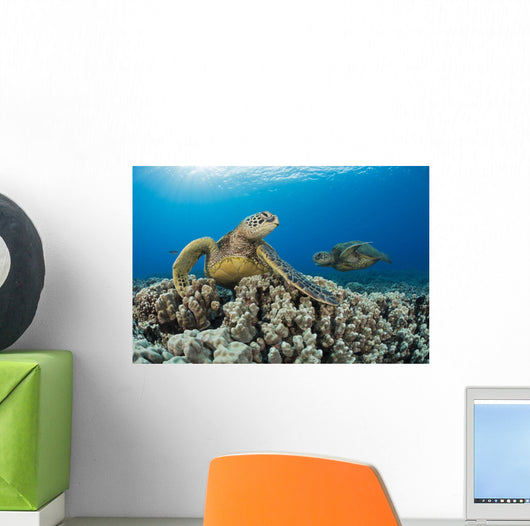Green Sea Turtles Wall Decal Design 1