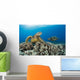Green Sea Turtles Wall Decal Design 1