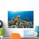 Green Sea Turtles Wall Decal Design 1