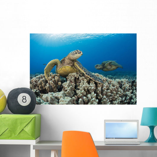 Green Sea Turtles Wall Decal Design 1