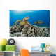 Green Sea Turtles Wall Decal Design 1
