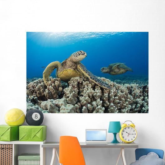 Green Sea Turtles Wall Decal Design 1