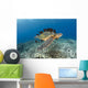 This Green Sea Turtle Wall Decal Design 1