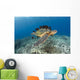 This Green Sea Turtle Wall Decal Design 1