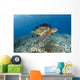 This Green Sea Turtle Wall Decal Design 1