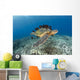 This Green Sea Turtle Wall Decal Design 1