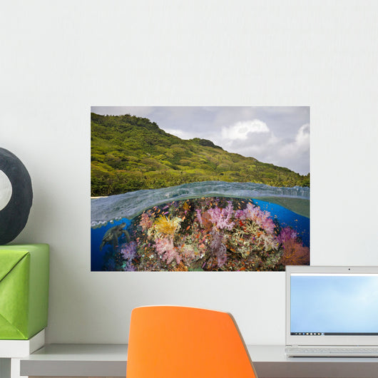 Half below Look Wall Decal