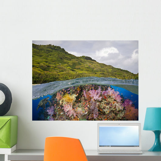 Half below Look Wall Decal