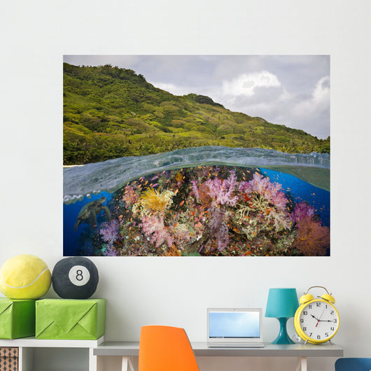 Half below Look Wall Decal