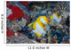 Three Pyramid Butterflyfish Line Wall Decal