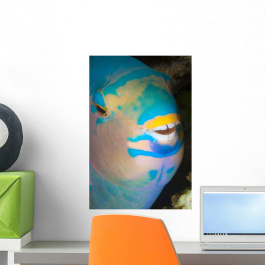 Up Look Night Sleeping Wall Decal