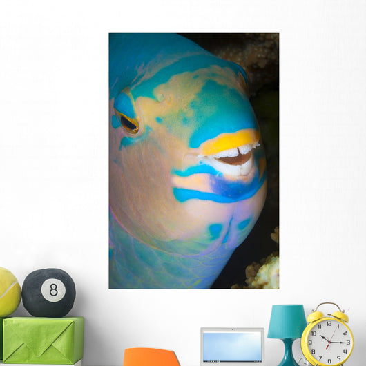 Up Look Night Sleeping Wall Decal