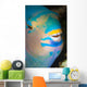 Up Look Night Sleeping Wall Decal