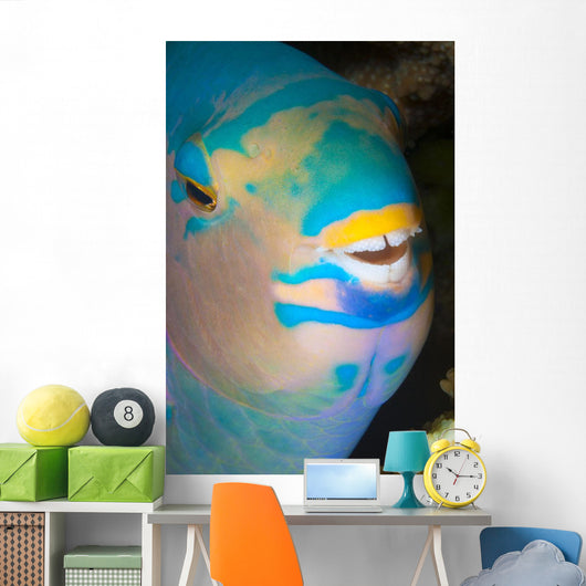Up Look Night Sleeping Wall Decal