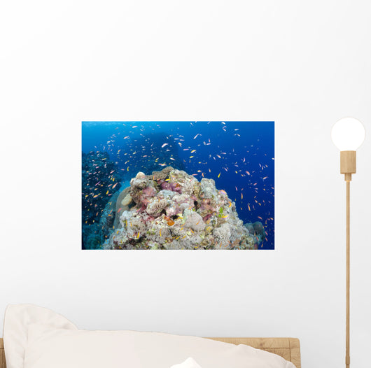 Reef Scene with Schooling Wall Decal