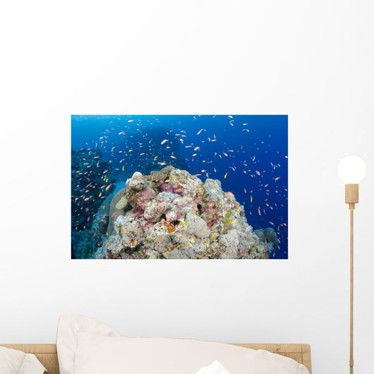 Reef Scene with Schooling Wall Decal