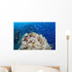 Reef Scene with Schooling Wall Decal
