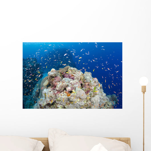 Reef Scene with Schooling Wall Decal