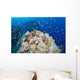 Reef Scene with Schooling Wall Decal
