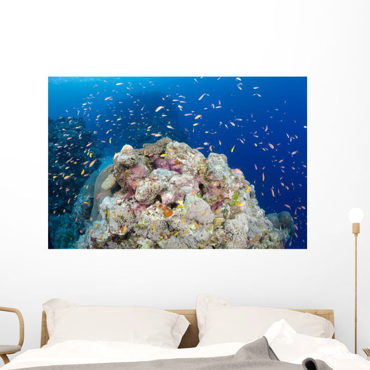 Reef Scene with Schooling Wall Decal