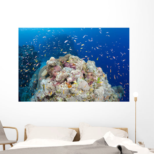 Reef Scene with Schooling Wall Decal