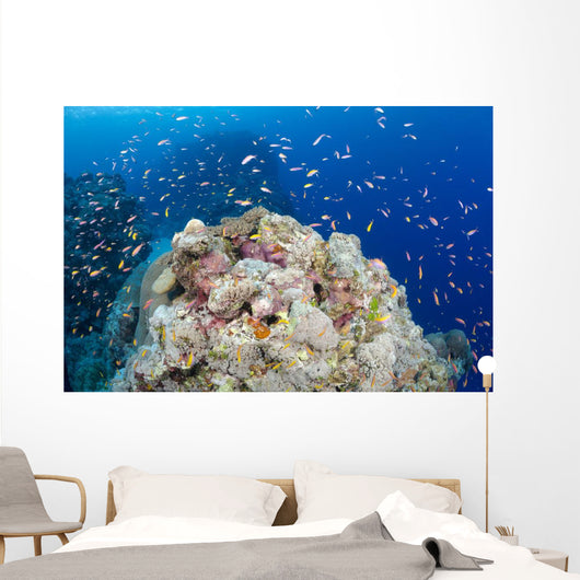 Reef Scene with Schooling Wall Decal