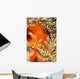 This Common Anemonefish Wall Decal Design 2