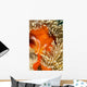 This Common Anemonefish Wall Decal Design 2