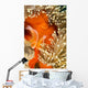 This Common Anemonefish Wall Decal Design 2