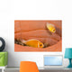 This Common Anemonefish Wall Decal Design 1