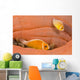 This Common Anemonefish Wall Decal Design 1