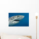 Great White Shark Just Wall Decal