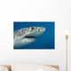 Great White Shark Just Wall Decal