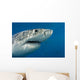 Great White Shark Just Wall Decal