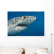 Great White Shark Just Wall Decal