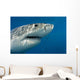 Great White Shark Just Wall Decal
