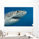 Great White Shark Just Wall Decal